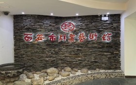 艺术民主化浪潮下，飞利浦商显赋能西安群众艺术馆打造文化新地标