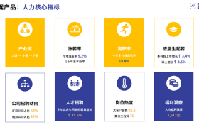 AI+大数据双轮驱动：企业薪酬策略的精准化变革